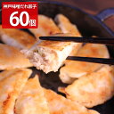 神戸味噌だれ餃子 60個 惣菜 冷凍 餃子 お取り寄せ 点心 おつまみ 中華 飲茶 おかず 神戸 三宮 イチロー 肉料理