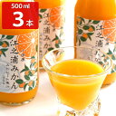 ■エントリーでポイント5倍■ 江之浦みかん 100%ストレート果汁 500ml 3本入 ギフトセット ジュース うんしゅうみかん 国産 みかんジュース 温州みか...
