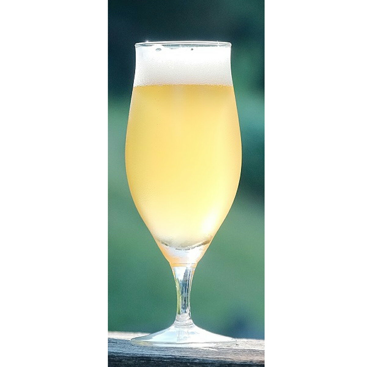 サントリー 金麦 350ml 48本 （2ケース） ギフト 父親 誕生日 プレゼント