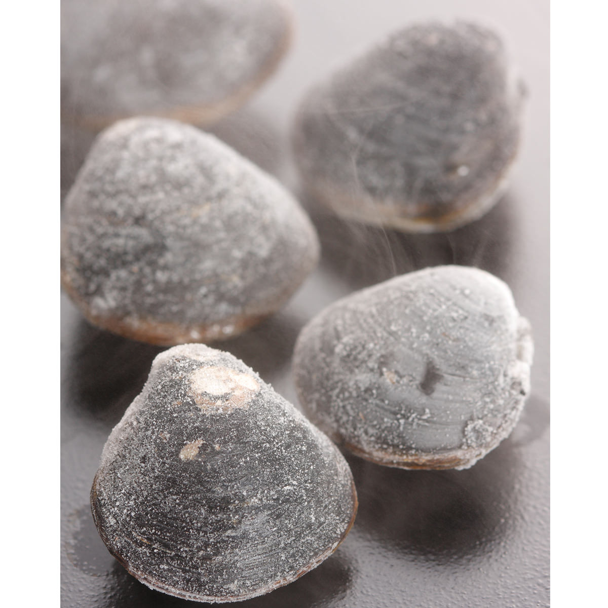 ��ƻ�л� ���¤����� ���� ��γ L������ 4�ޥ��å� ������ ���� �纬���� �� ���ष���� �� �纬�� ��ƻ�� ����