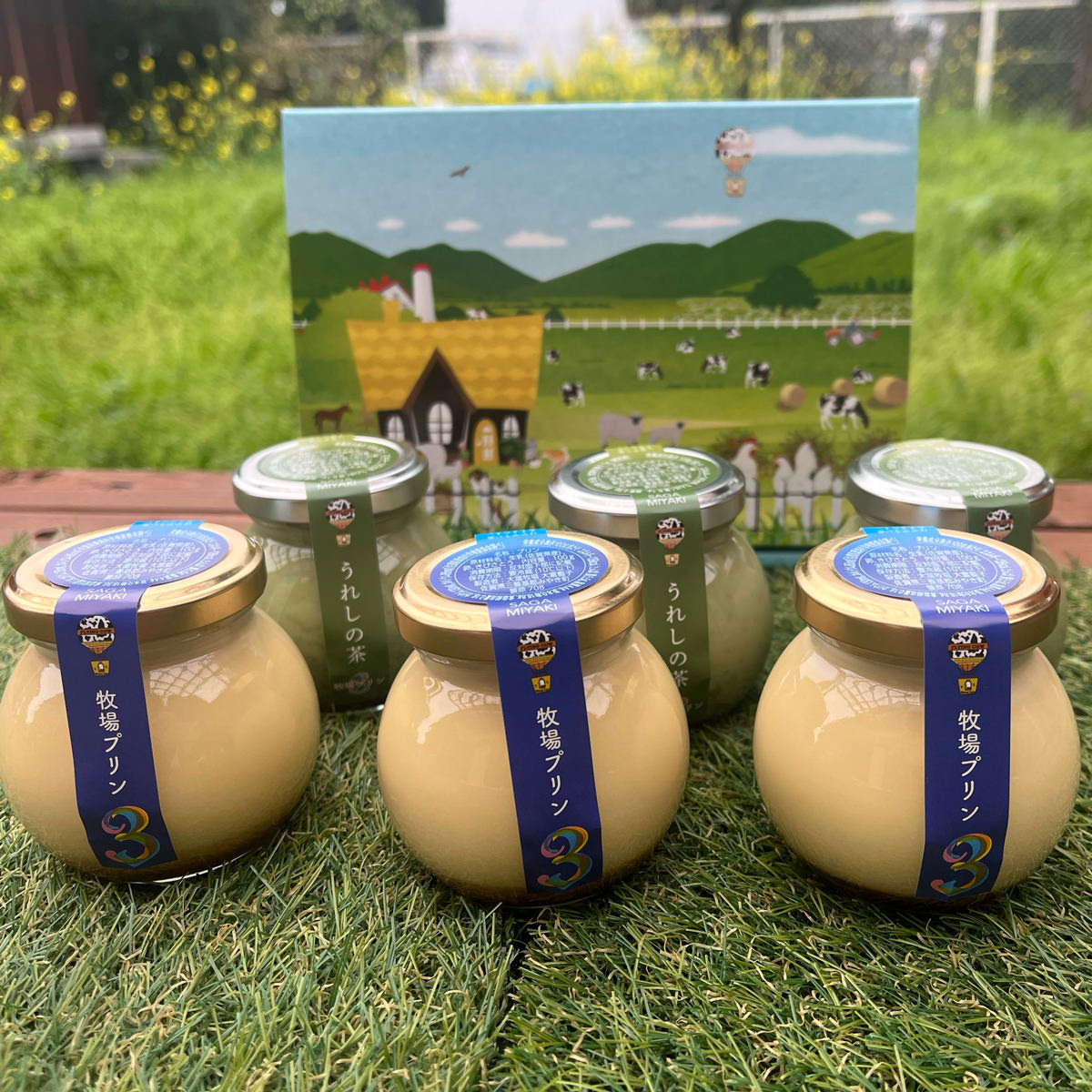 佐賀 牧場プリン3 牧場プリン うれしの茶 2種計6個 詰め合わせ プリン お取り寄せ 洋菓子 添加物不使用 佐賀県 スイーツ うれしの茶プ..