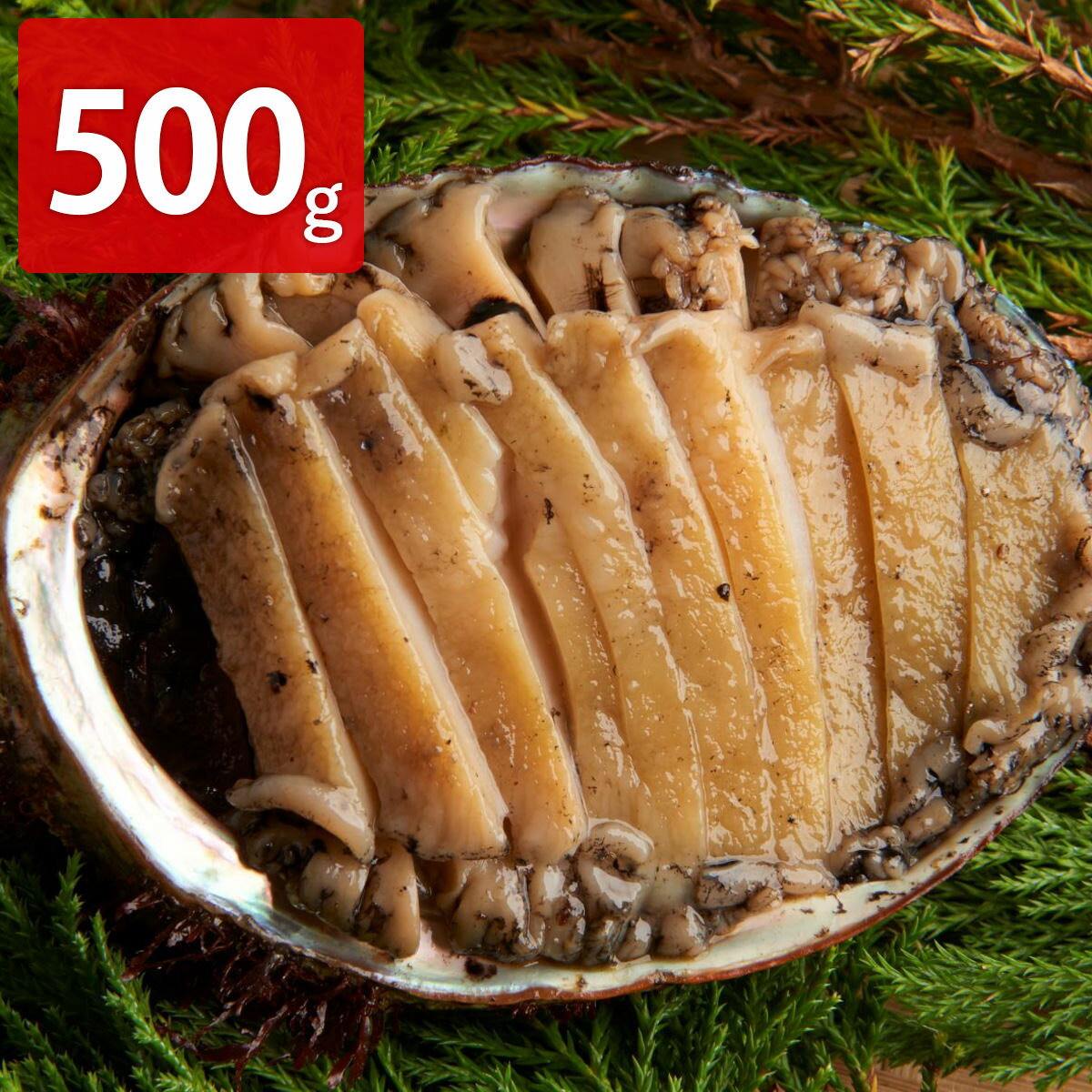 三陸産 冷凍 天然エゾアワビ 500g 鮑 生食用 蝦夷アワビ お取り寄せ 蝦夷あわび 真空パック アワビ 国産 天然アワビ 貝類 魚介 あわびのサムネイル
