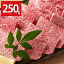 肉のなかむら 九州産和牛ロース焼き肉用 250g 牛肉 焼肉用 お取り寄せ 和牛 ロース やきにく用 肉 国産 牛ロース 冷凍 ロース肉