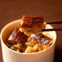 浜名湖産 魚魚一 鰻わっぱ飯 5個入 鰻 うな飯 うなぎ蒲焼き うなぎ飯 わっぱ飯 お取り寄せ 静岡 浜松名物 鰻飯 郷土飯 ぼく飯 手作り 炊き込みご飯【北海道・沖縄県・離島 配送不可】