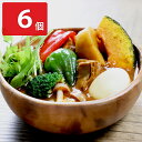 北海道 鶏肉と野菜のスープカレー 6個 カレー チキン 惣菜 お取り寄せ 北海道グルメ 簡単調理 温めるだけ 電子レンジ調理 時短調理 レンチン