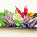 富山湾 冷凍 生ホタルイカ 3袋 ほたるいか 生食 おつまみ 酒の肴 冷凍食品 蛍烏賊