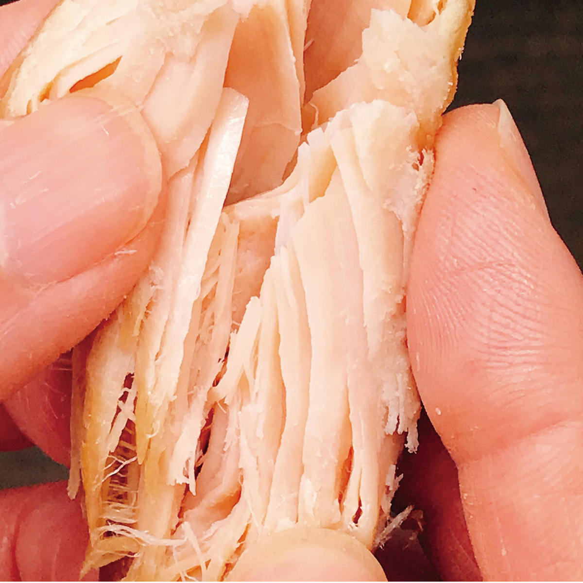 �ܺ껺 �ܤ����� ���� ����ܥ 40���� ���󤻤� ���Ĥޤ� ���� ���������� ������ �ܺ� �Ȥꤵ���� �ܺ긩�� ������ ���� ����Τ���