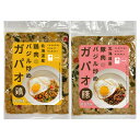 ■エントリーでポイント5倍■ 北海道産 素材 エスニック 冷凍 ガパオ 2種計6個 食べ比べ 惣菜 ガバオガイ バジル炒め ガパオムー タイ料理 辛さ控えめ 肉...