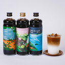 カフェオレベース 3種 各1本 詰め合わせ コーヒー飲料 希釈用 常温 コーヒー お取り寄せ カフェオレ ドリンク 珈琲 BUNDY BEANS 兵庫