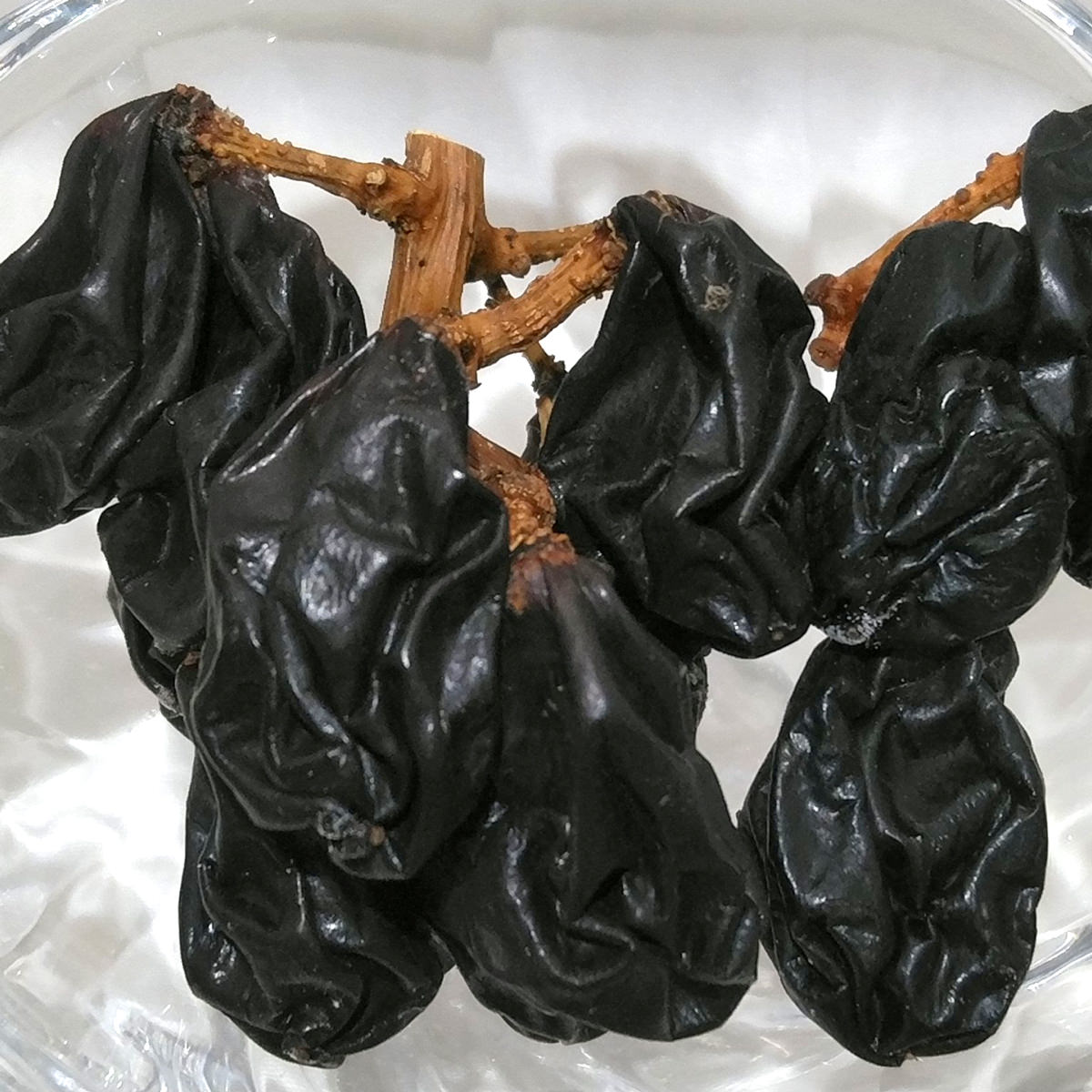 里乃や 熟成プレミアムレーズン 小枝の巨峰 25g×2袋 干しぶどう 秋田県産 ドライフ...