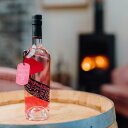 エキセントリック・スピリッツ PSピンキー・ジン クラフトジン 酒 スピリッツ アルコール飲料