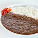 お肉屋さんが作った 能登牛 金沢カレー 大容量パック 1kg入り 5袋セット カレー 冷凍 ご当地カレー ビーフカレー