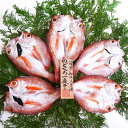 一日漁 のどぐろ 一夜干し 天日塩 岡富商店 5〜6枚 ノドグロ 干物 島根県産 アカムツ 干物 おつまみ