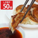 ■エントリーでポイント5倍■ 大阪ぎょうざの天尚 国産素材 手作りの餃子 しそ餃子 50個 生餃子 冷凍 ギョーザ 焼くだけ 国産野菜使用【北海道・沖縄県・離島...