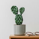 QooSo Plants バルーン クウキウチワサボテン 風船 インテリア フィルムバルーン インテリア雑貨 ポスト投函便