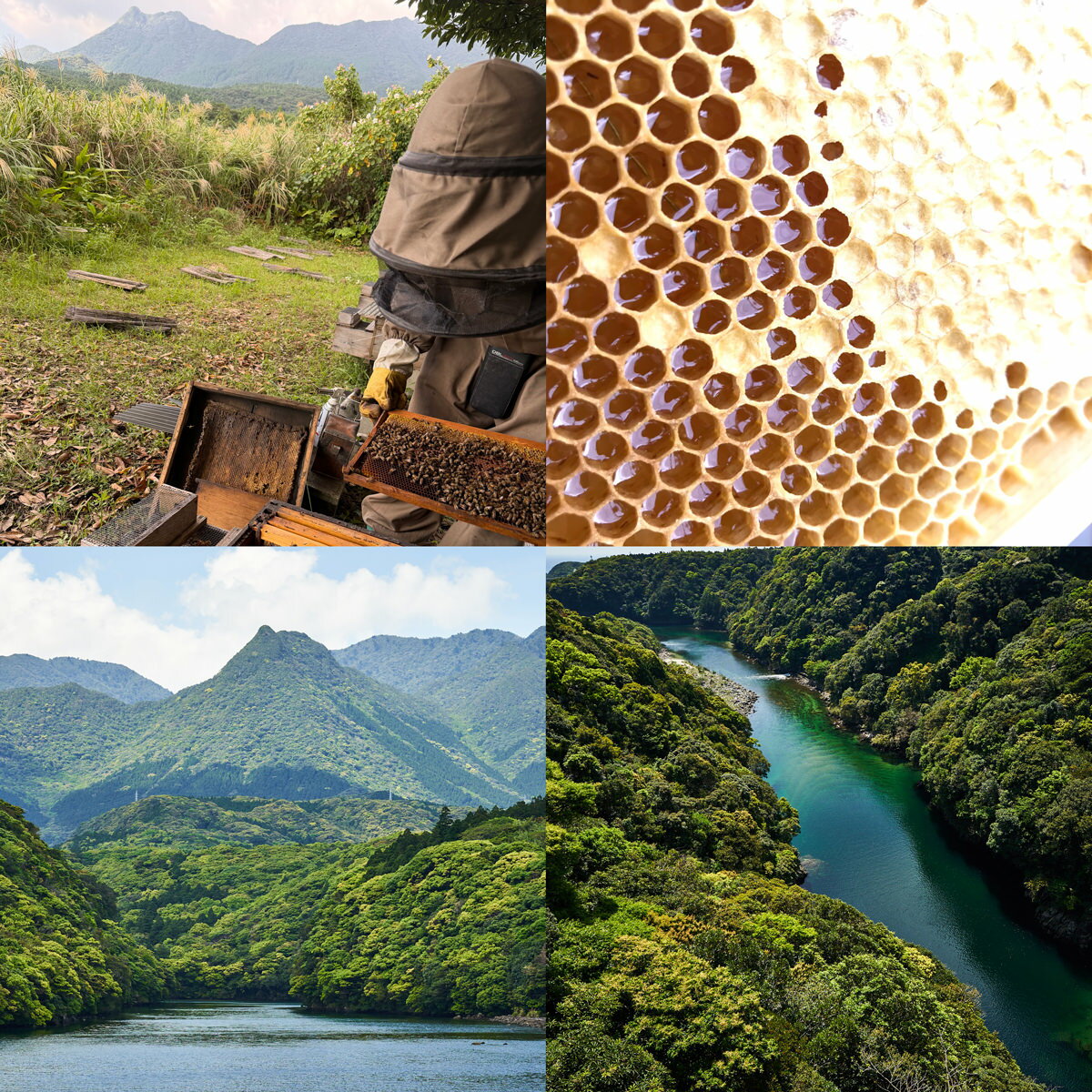 久保養蜂園 屋久島ファーム 屋久島はちみつ 百花 2本 純粋はちみつ 国産 非加熱 蜂蜜 瓶入り 百花蜜 ハチミツ