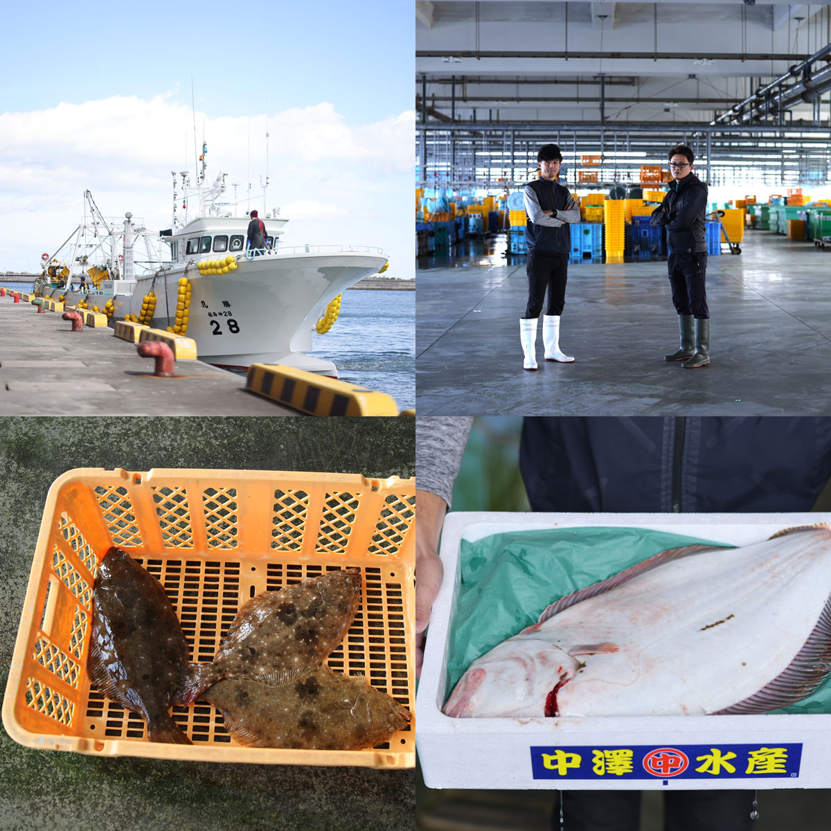 uoya ��߷�建 ���ؤ�� ʿ�ܤŤ��� ������٥��å� 4���� �ҥ�� ���� ʿ�� ʡ�縩�� �Ҥ�� ���Ĥޤ� ����Τ���