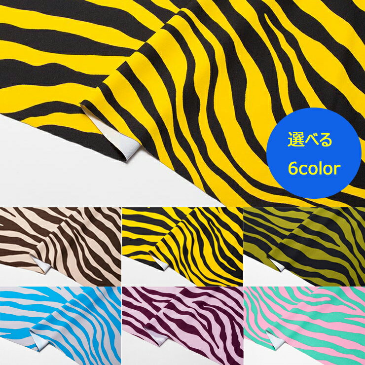 Amazon.co.jp: Zebra: ミュージック