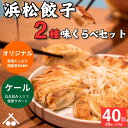 【送料無料】浜松&GABAケール餃子2種セット40個|国産野菜使用・冷凍保存OK|母の日 父の日 敬老の日 お歳暮 お取り寄せグルメに最適|健康を贈る餃子ギフト...
