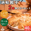 【送料無料】GABA入りケール餃子×無臭生姜餃子★健康餃子2種食べ比べセット40個|にんにく・ニラ不使用/国産野菜/冷凍ギフト 母の日 父の日 敬老の日に。生姜...