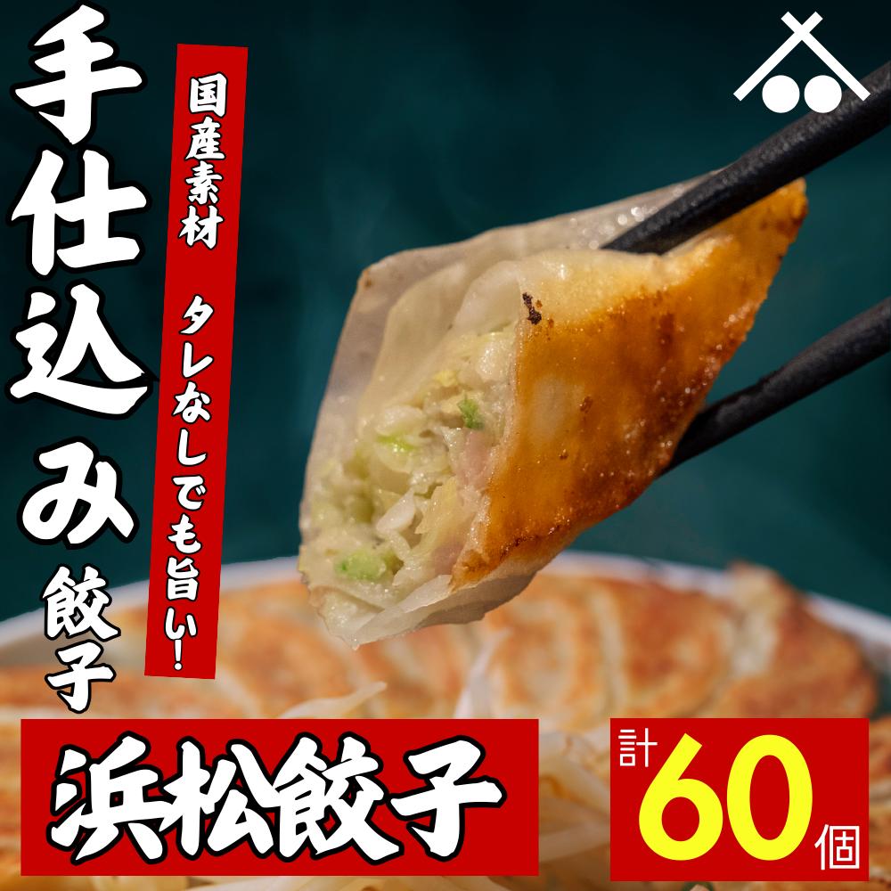 ＼楽天スーパーSALE／送料無料 浜松 餃子60個 セット(20個入×3箱) 国産食材 おすすめ ぎょうざ 詰め合わせ 中華 おかず おつまみ ギョウザ ギョーザ 冷凍 惣菜 豚肉 野菜 点心 にんにく お取り寄せ グルメ ギフト 焼き餃子 水餃子 揚げ餃子 生餃子 冷凍餃子