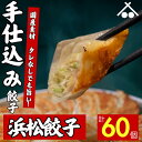 送料無料 浜松 餃子60個 セット(20個入×3箱)| 国産食材 おすすめ ぎょうざ 惣菜 セット 詰め合わせ 中華 おかず おつまみ ギョウザ ギョーザ 冷凍 惣菜 豚肉 野菜 点心 にんにく すぐ届く お取り寄せ グルメ ギフト 焼餃子 焼き餃子 水餃子 揚げ餃子 冷凍生餃子 冷凍餃子