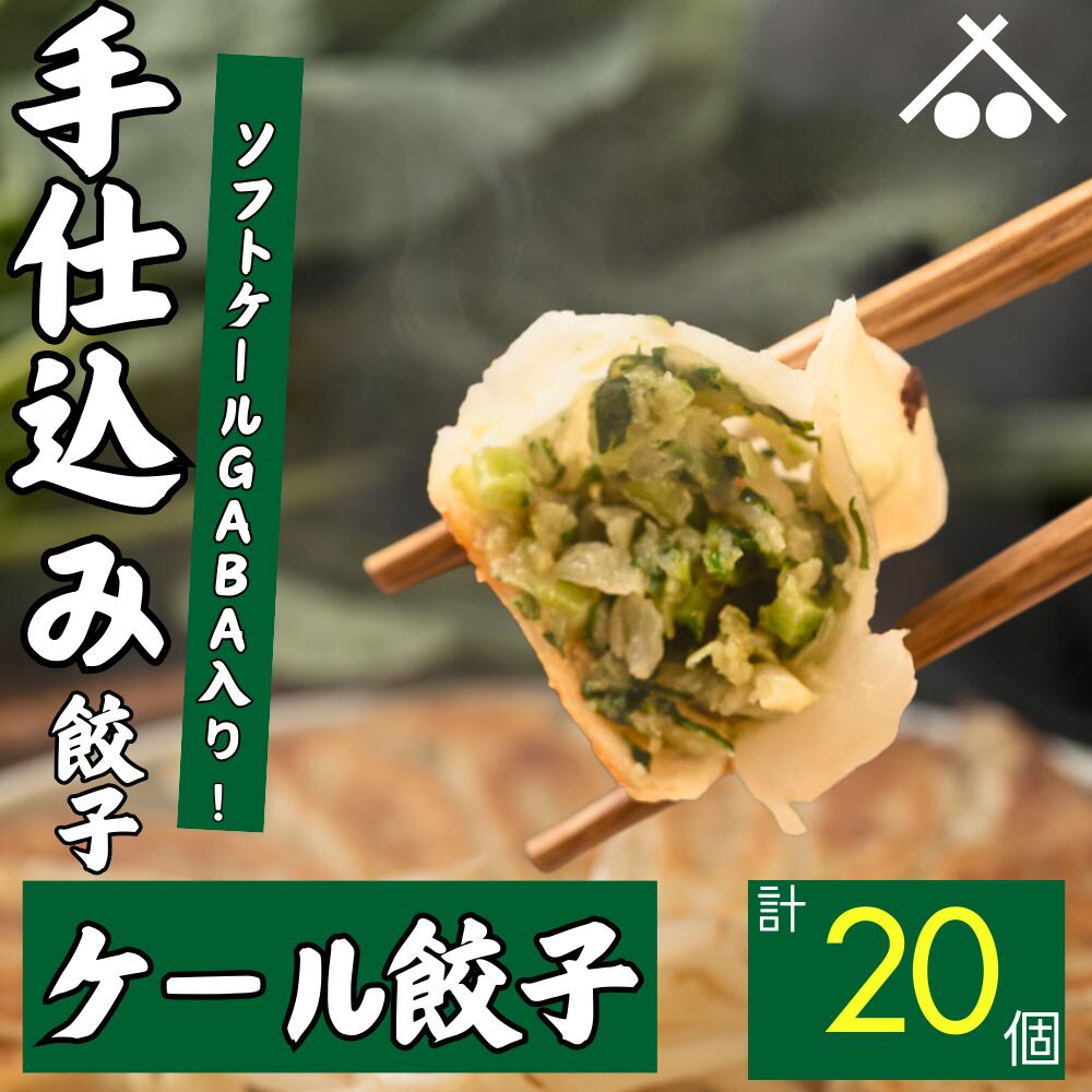 【送料無料】ソフト ケール GABA 使用! ケール 餃子 20個 (20個入×1箱)| 浜松餃子 ぎょうざ 惣菜 セット 点心 中華 おかず おつまみ ギョウザ ギョーザ 冷凍 冷凍餃子 冷凍生餃子 国産 お取り寄せ 焼餃子 焼き餃子 水餃子 揚げ餃子 1