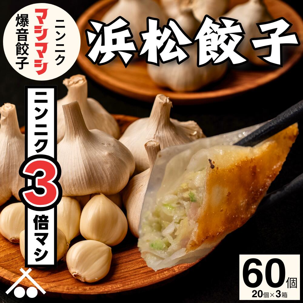【送料無料】浜松餃子にんにく300%増量 60個 (20個入×3箱)| 国産 青森 ニンニク 食材 おすすめ ぎょうざ 惣菜 セット 詰め合わせ 中華 おかず ...