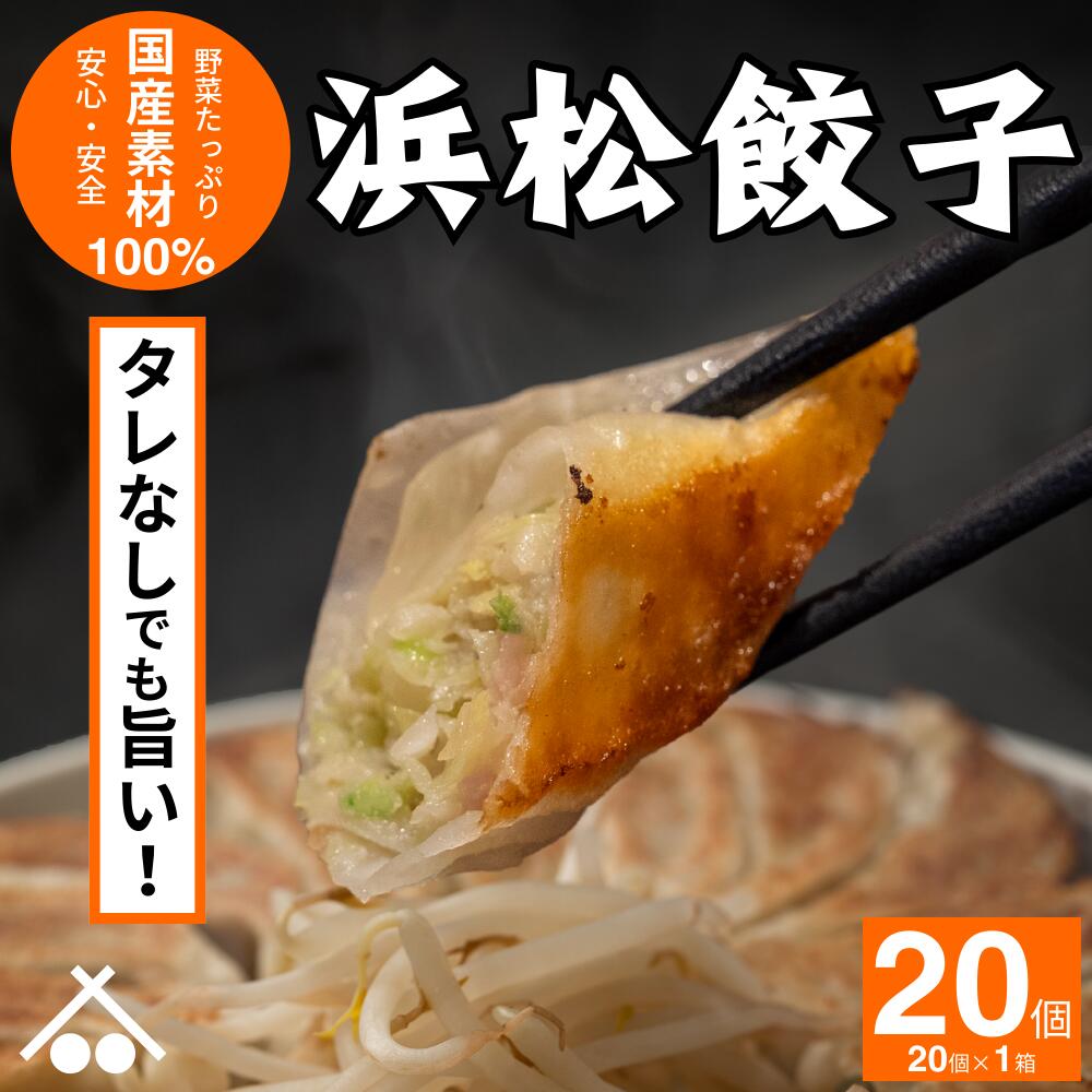 【送料無料】タレなしでもうまい! 浜松 餃子20個 (20個入×1箱)| 浜松餃子 ぎょうざ 惣菜 セット 詰め合わせ 点心 中華 おかず おつまみ ギョウザ ギョーザ 冷凍 冷凍餃子 冷凍生餃子 国産 お取り寄せ 焼餃子 焼き餃子 水餃子 揚げ餃子 1