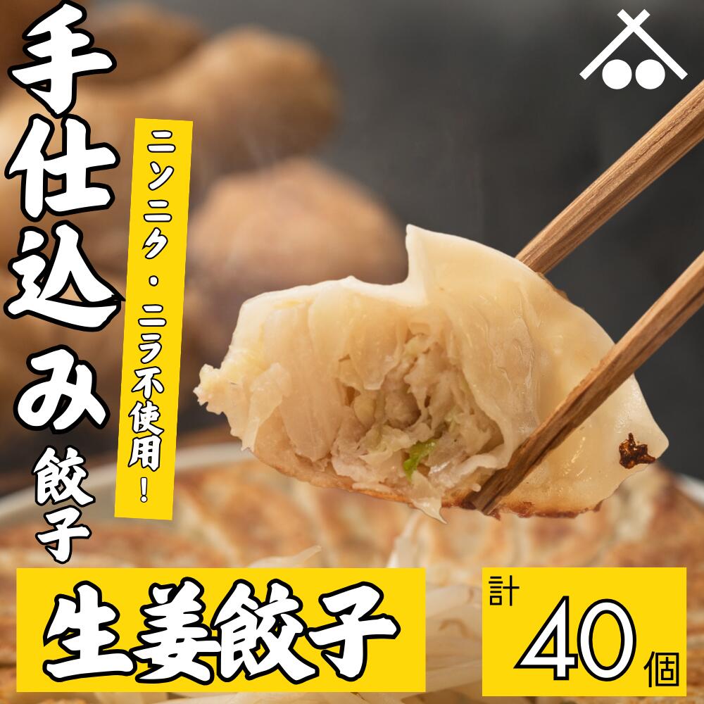 【送料無料】にんにく ・ ニラ 不使用! 生姜 餃子40個 セット(20個入×2箱)| 浜松餃子 ぎょうざ 惣菜 セット 点心 中華 おかず おつまみ ギョウザ ギョーザ 冷凍 冷凍餃子 冷凍生餃子 国産 お取り寄せ 焼餃子 焼き餃子 水餃子 揚げ餃子