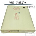 書道 紙 書道用紙 条幅 送料無料 半切 画仙紙 天蘭 厚口 漢字 練習 清書 手漉き 習字 和紙