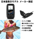 【エントリーで全商品P10倍! 7/11 1:59迄】 ガーミン ストライカービビッド 4cv GT20-TM振動子セット 英語モデル STRIKER Vivi...