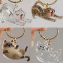 ねこけだま 第2弾 猫毛玉入れ 猫毛収納ボックス 6種類 毛玉容器 猫 毛玉入れ 猫の毛キーホルダー 透明 ペットケア用品 ペット安全素材 毛を保管するボトル