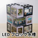 フィギュアケース セグレゴブロック [SEGLEGO] Mサイズ LEDライト コレクションケース ショーケース 日本正規品 Heimerdinger 2