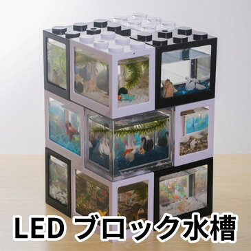 フィギュアケース 2個セット セグレゴブロック [SEGLEGO] Mサイズ LEDライト コレクションケース ショーケース 日本正規品 Heimerdinger