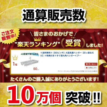 あす楽 ピンチハンガー引っ張るだけ で取れる 洗濯ハンガー 【50ピンチ】 送料無料 角ハンガー 洗濯 室内物干し 部屋干し ハンガー 洗濯ばさみ ホワイト プラスチック ひっぱるだけ ) ニシダ直販