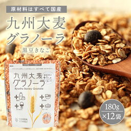 九州大麦グラノーラ(黒豆きな粉 ) 180g×12個 朝食 麦 シリアル 国産 グラノーラ 大容量 大麦 黒豆 きなこ きな粉 黒糖 西田精麦 beath365 beath ビースサンロクゴ ビース 無理なく健幸美 無理なく健康美 腸活 便秘 ヨーグルト