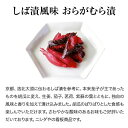 お漬物&高級茶漬入りセットB｜母の日 プレゼント ギフト ご挨拶 法事 お供え 手土産 お土産 漬け物 漬物セット 詰め合わせ 京都 有名 人気 簡単 手軽 時短 贅沢 お弁当 ご飯のお供 おうちご飯 2