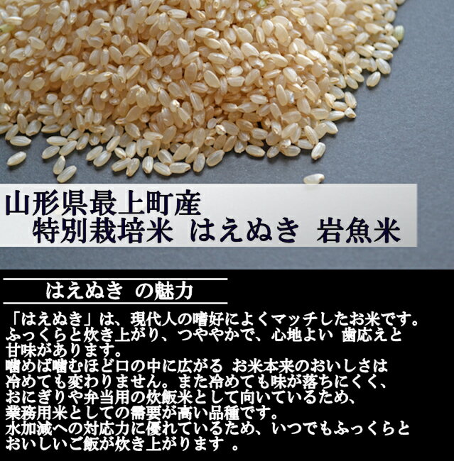 山形県産 特別栽培米 はえぬき 令和7年産 玄米 5kg