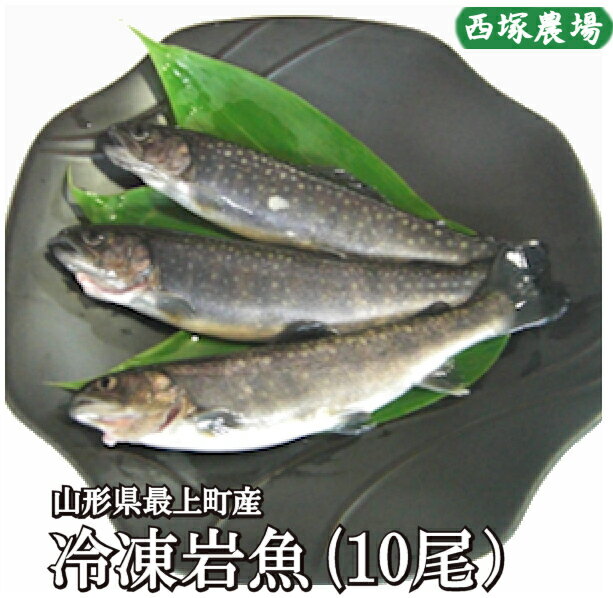 山形県産 冷凍岩魚 10匹（腹抜き) 　 焼き魚・揚げ物に...