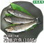 山形県産 冷凍岩魚 10匹（腹抜き) 　 焼き魚・揚げ物に最適な大きさ