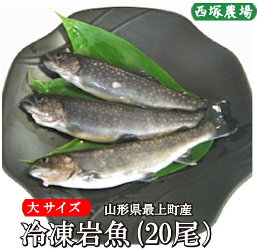 数量限定 山形県産 冷凍岩魚 20匹(大サイズ 腹抜き) 焼き魚・揚げ物に最適な大きさ 数量限定 山形県産 冷凍岩魚 20匹(大サイズ 腹抜き) 焼き魚・揚げ物に最適な大きさ