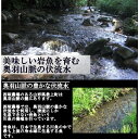 山形県産 冷凍岩魚 10匹（腹抜き) 　 焼き魚・揚げ物に最適な大きさ