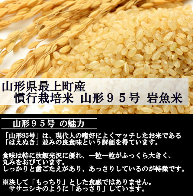 山形県産 慣行栽培米 山形95号 令和7年産 玄米 5kg