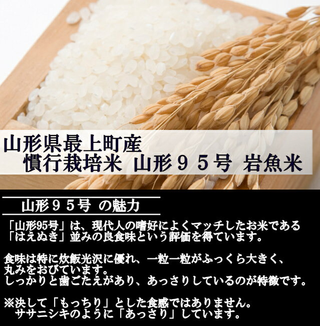 山形県産 慣行栽培米 山形95号 令和7年産 白米 20kg