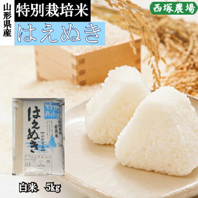 山形県産 特別栽培米 はえぬき 令和4年産 白米 5kg 精米したて...