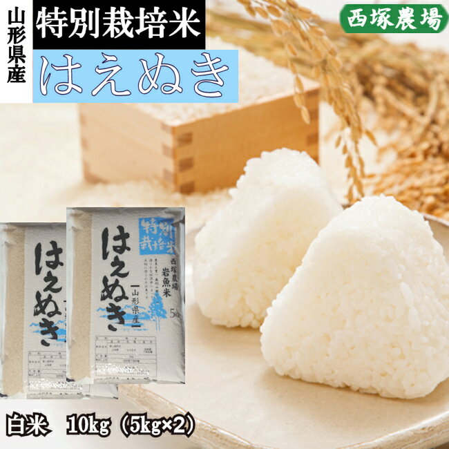 【新米】山形県産 特別栽培米 はえぬき 令和4年産 白米 10kg 精米したて...