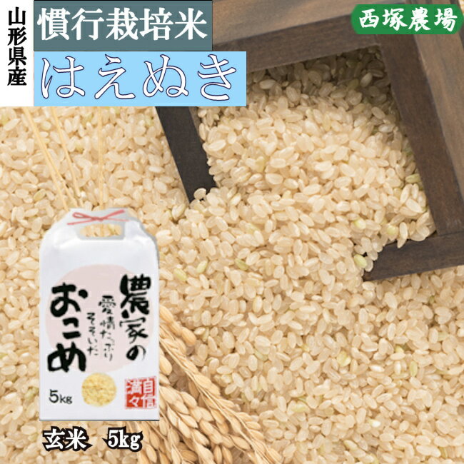山形県産 慣行栽培米 はえぬき 令和5年産 玄米 5kg