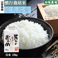慣行栽培米はえぬき（令和3年産）白米10kg