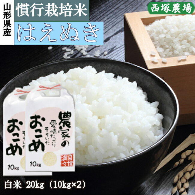 山形県産 慣行栽培米 はえぬき 令和2年産 白米 20kg 精米したて...